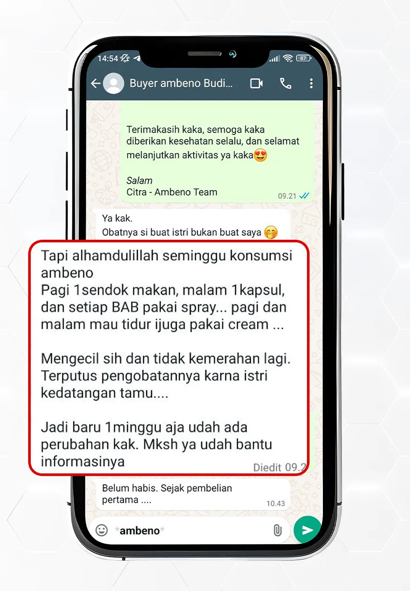 testi.webp